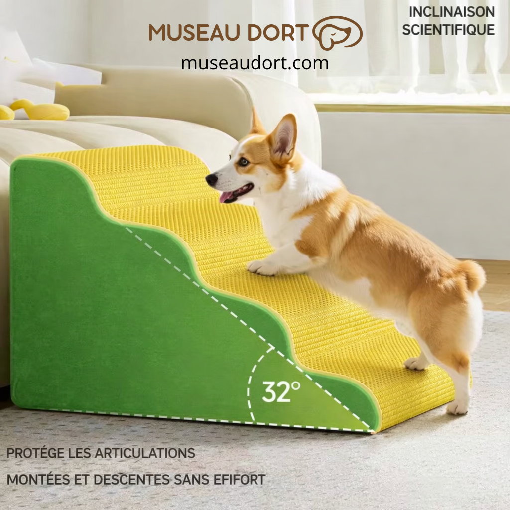 Escalier pour chien avec inclinaison douce à 32°, antidérapant, protégeant les articulations au quotidien, Museau Dort