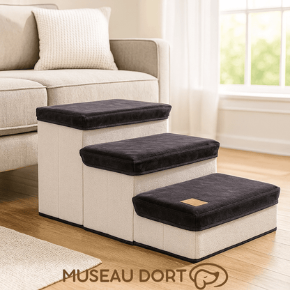 Escalier pour chien pliable avec rangement noir, accès sécurisé au canapé dans un intérieur moderne, Museau Dort