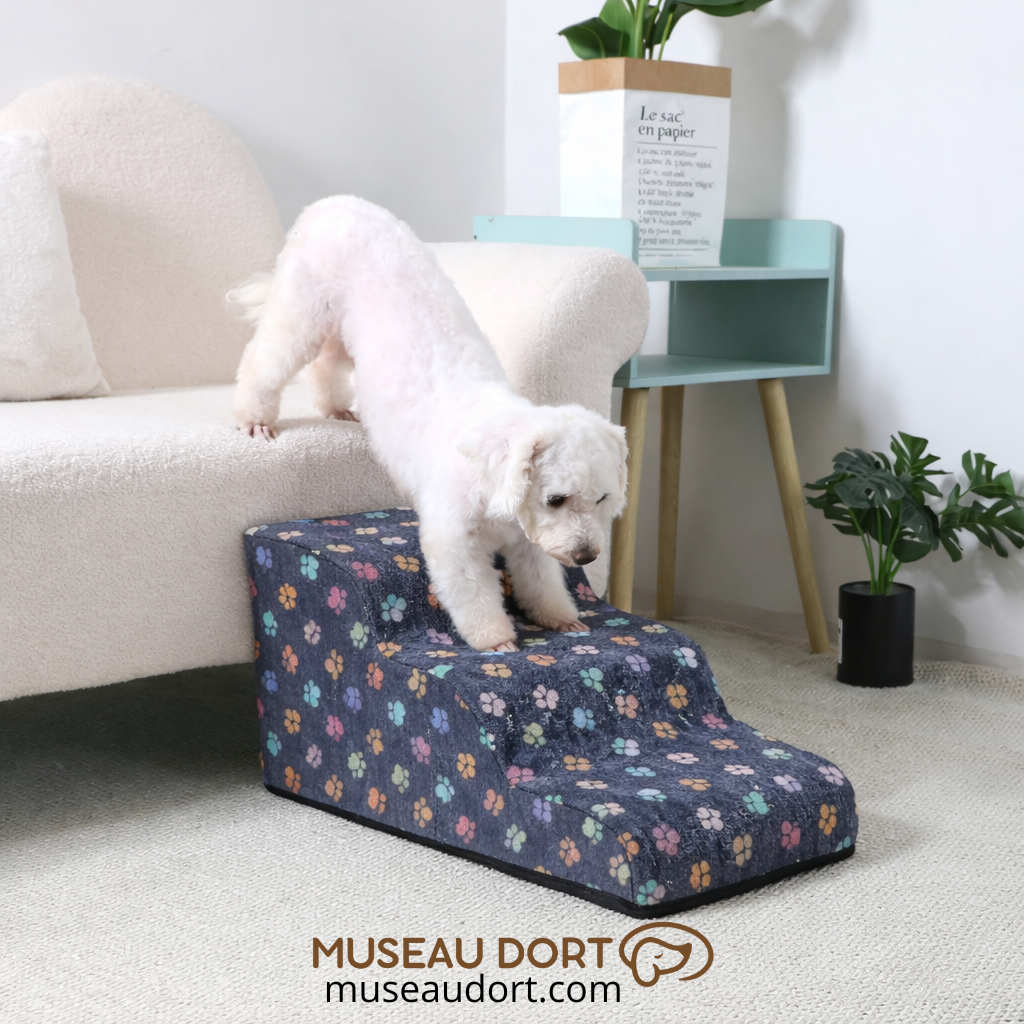 Chien descendant un canapé avec un escalier pour chien stable et antidérapant, aide à la mobilité au quotidien à la maison