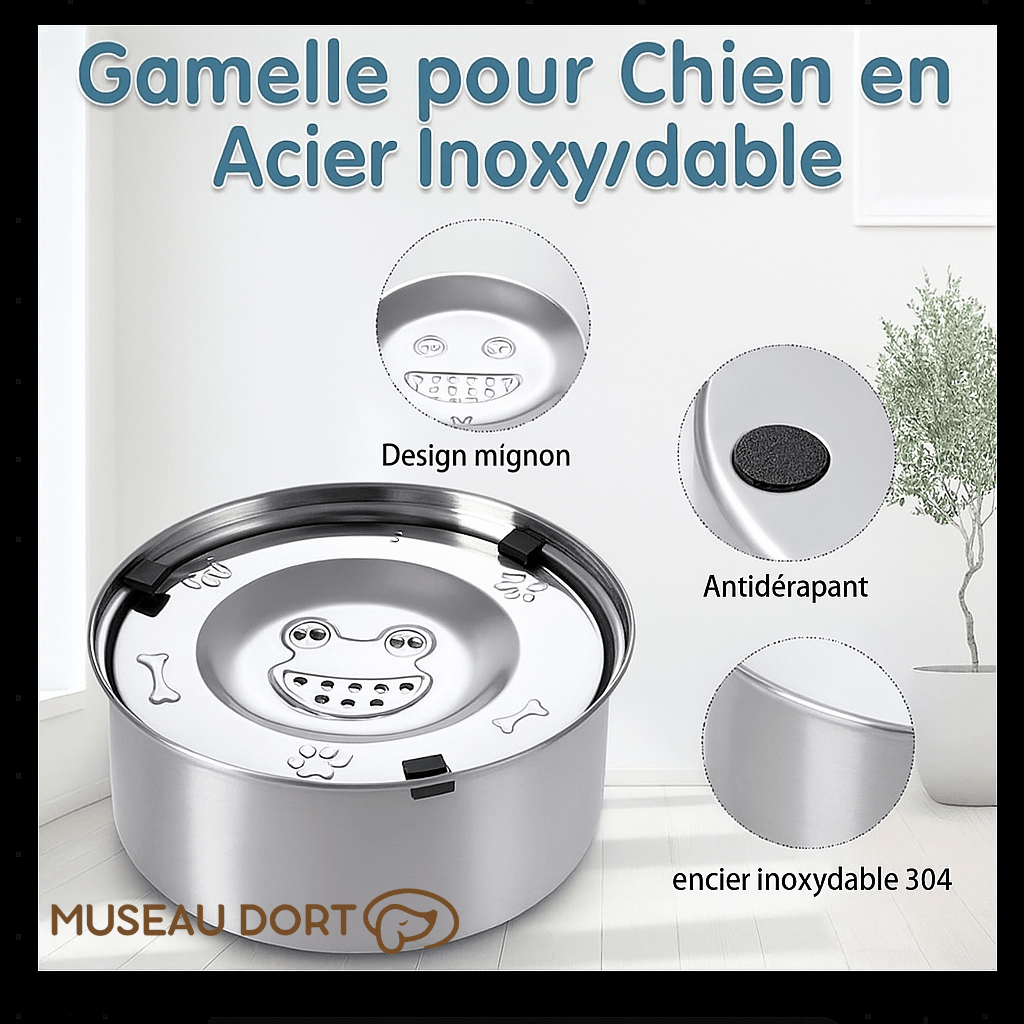 Gamelle pour chien en acier inoxydable 304 avec base antidérapante et design mignon Museau Dort