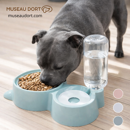 Gamelle pour chien avec eau automatique et bol à croquettes intégré, staffie gris en situation réelle – Museau Dort