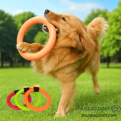 Chien golden retriever jouant avec un anneau interactif orange dans un parc estival, jouet pour chien en extérieur.