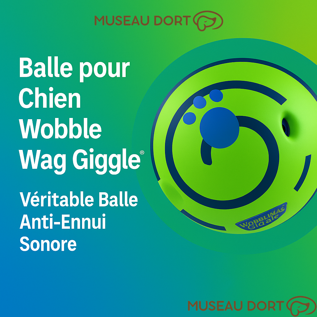 Balle sonore Wobble Wag Giggle verte présentée sur fond coloré, jouet interactif antistress pour chien.