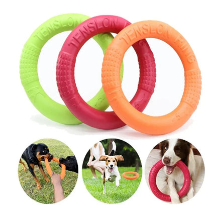 Jouet polyvalent pour chien, parfait pour le jeu, l'entraînement et l'agilité. Disponible chez Museau Dort."