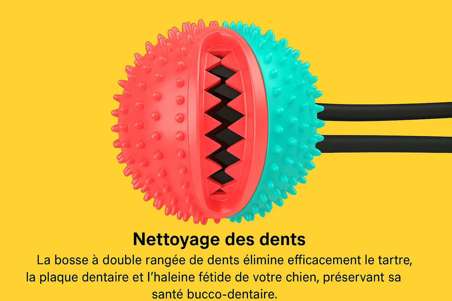 Gros plan sur une balle de jouet ventouse rouge et turquoise pour chien, avec fonction de nettoyage des dents. Disponible chez Museau Dort.
