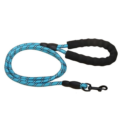 Laisse pour chien en nylon bleu avec poignée rembourrée et mousqueton rotatif pour promenade confortable. Museau Dort