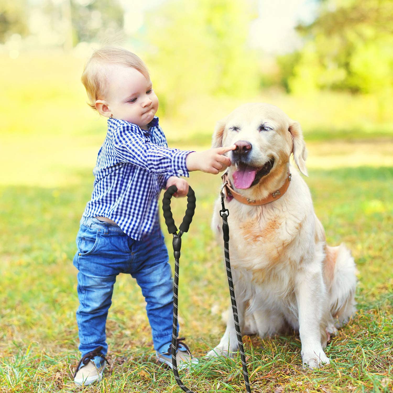 Enfant tenant une laisse pour chien en nylon noir attachée à un Golden Retriever assis dans un parc. Museau Dort