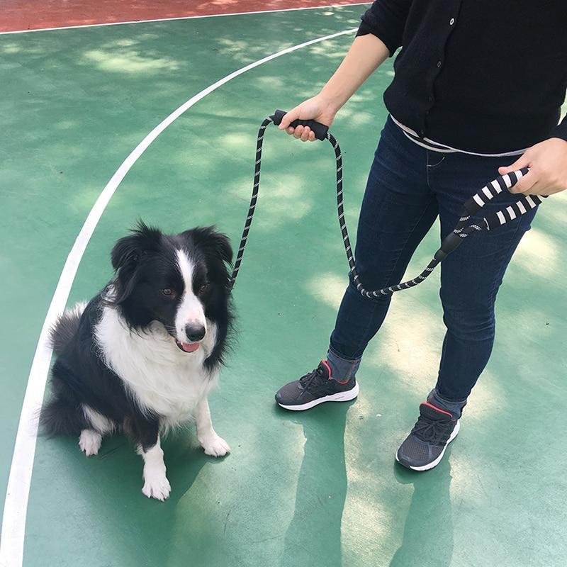Personne tenant une laisse pour chien en nylon noir et blanc avec un Border Collie assis sur un terrain. Museau Dort