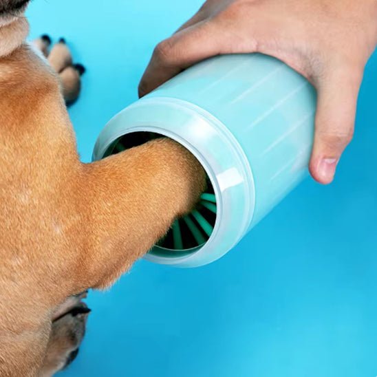 Main tenant un lave-patte pendant le nettoyage de la patte d’un chien – Disponible chez Museau Dort