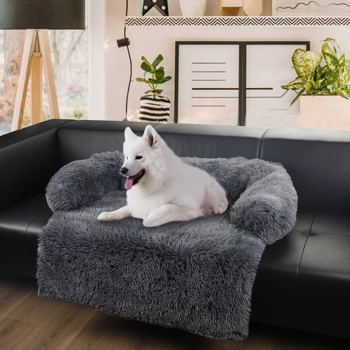 Protecteur de canapé avec traversin gris foncé sur un canapé en cuir noir et il y a un chien de type samoyède blanc coché sur un canapé dans un salon avec un décor style oriental en arrière-plan.
