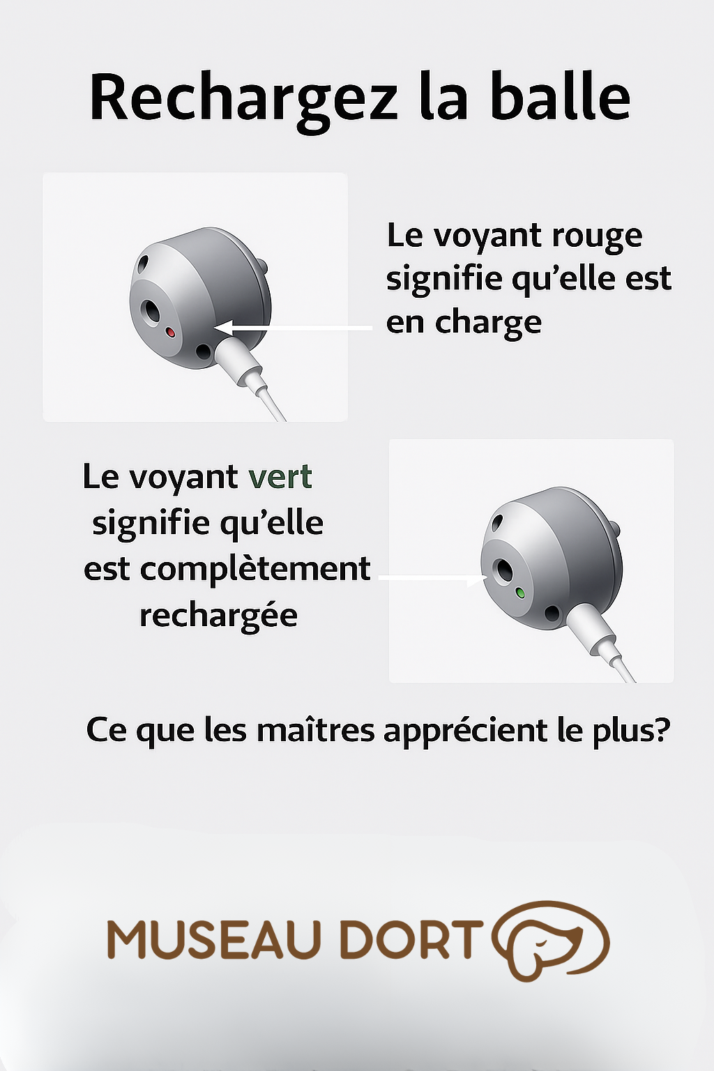 Indicateurs LED de recharge de la balle interactive pour chien : voyant rouge en charge, vert lorsqu’elle est rechargée