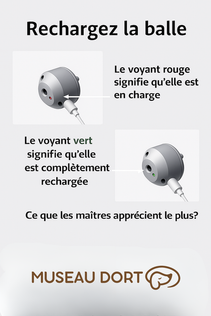 Indicateurs LED de recharge de la balle interactive pour chien : voyant rouge en charge, vert lorsqu’elle est rechargée