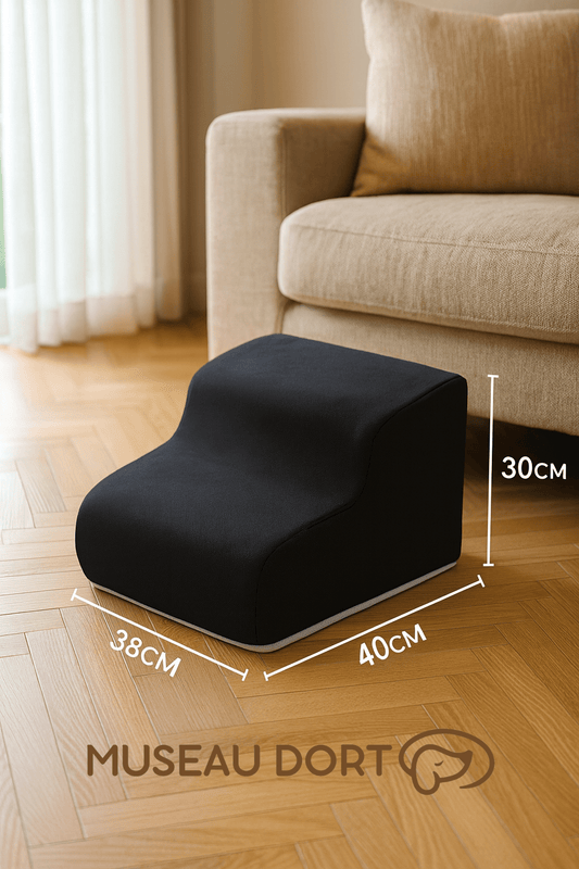 Escalier pour chien 2 marches 40x38x30 cm antidérapant accès canapé salon parquet Museau Dort