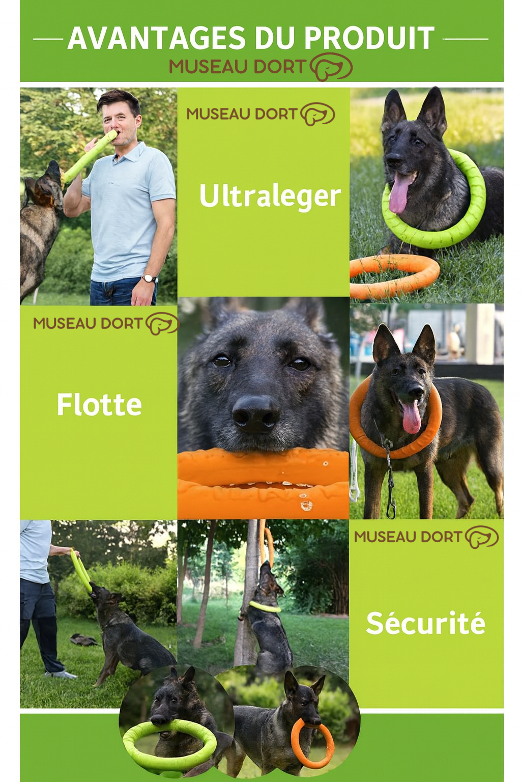 Montage des avantages du jouet interactif pour chien avec Marc et un berger allemand : ultraléger, flotte et sécurisé.