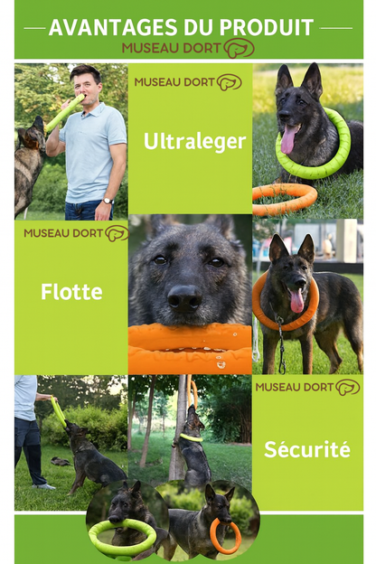 Montage des avantages du jouet interactif pour chien avec Marc et un berger allemand : ultraléger, flotte et sécurisé.