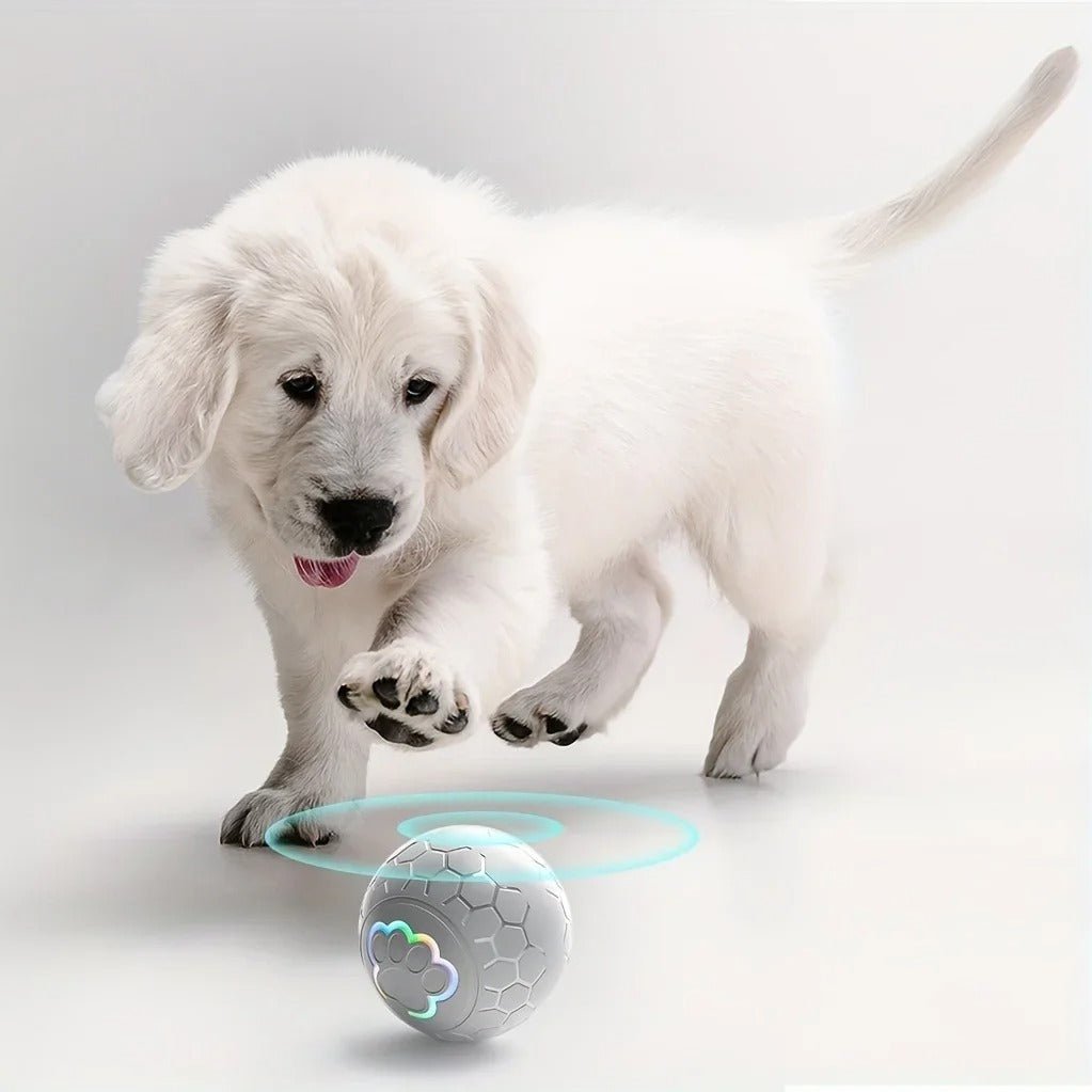 Balle Interactive pour Chien – Rebond, LED et Recharge USB - Museau dort