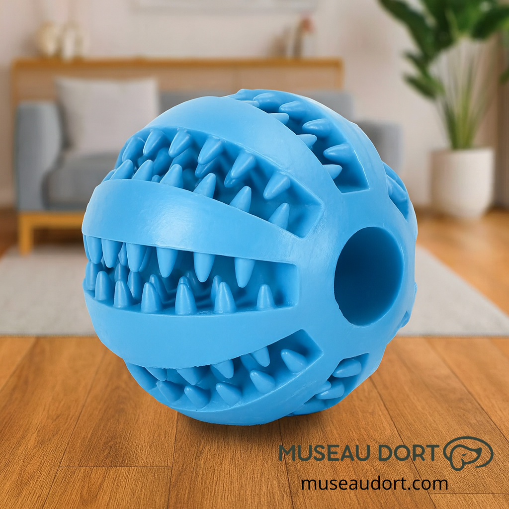 Balle pour chien en caoutchouc dentaire résistante, jouet anti-morsure pour chien à la maison, Museau Dort