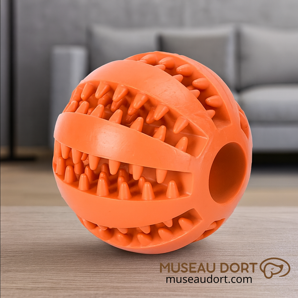 Balle pour chien en caoutchouc dentaire résistante, jouet anti-morsure pour chien en intérieur, Museau Dort