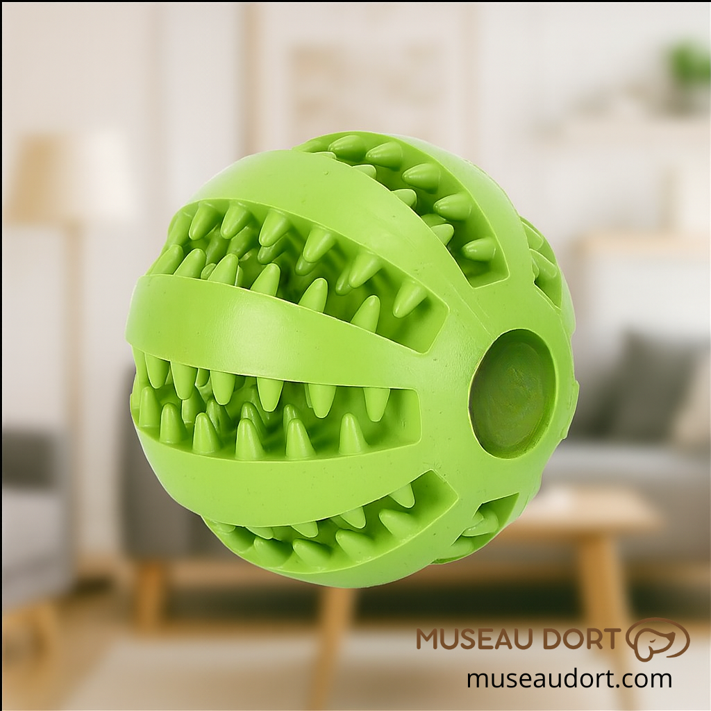 Balle pour chien en caoutchouc dentaire résistante, jouet anti-morsure pour chien en intérieur, Museau Dort
