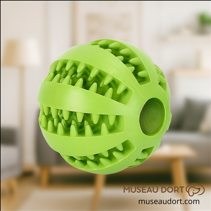 Balle pour chien en caoutchouc dentaire résistante, jouet anti-morsure pour chien en intérieur, Museau Dort