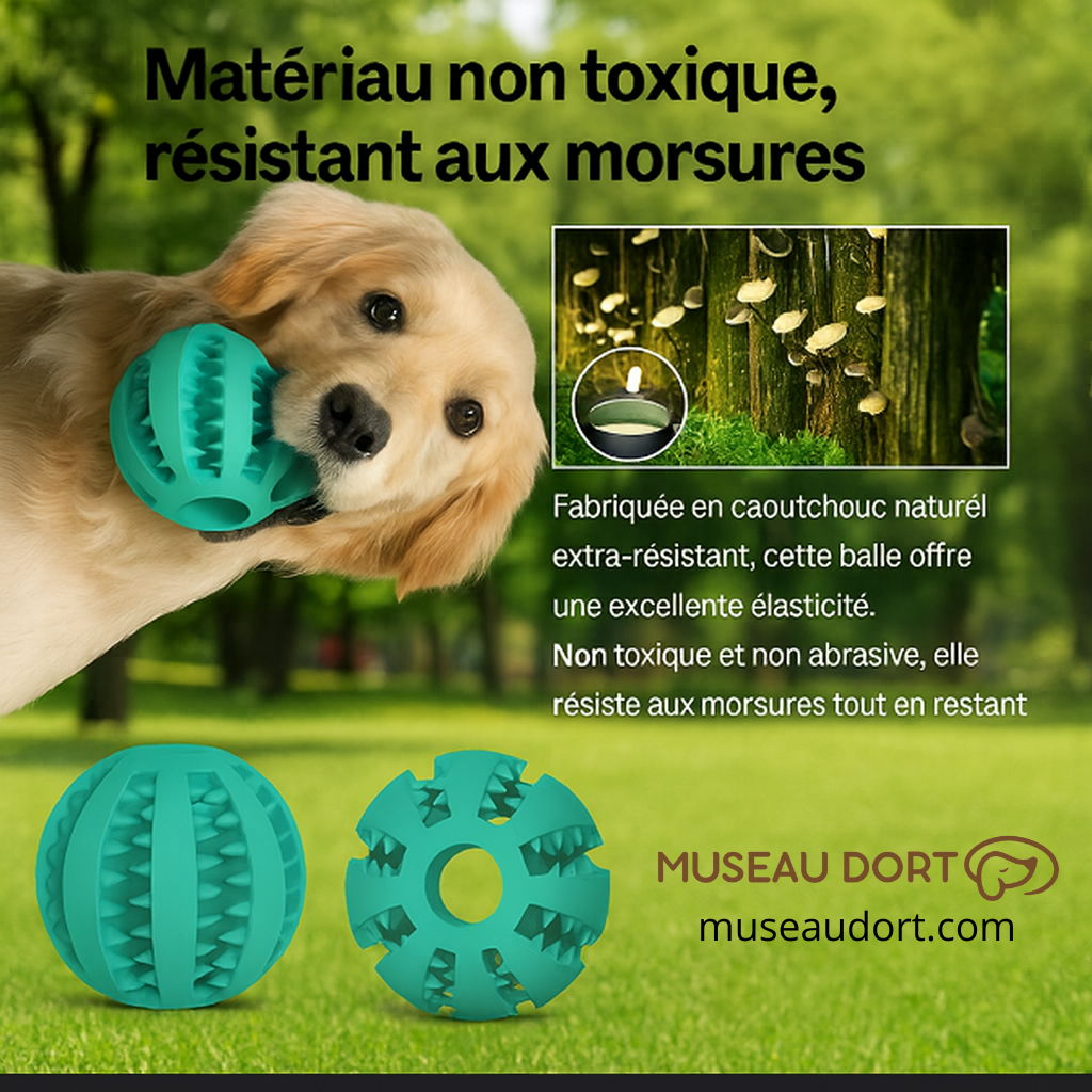 Balle pour chien en caoutchouc non toxique et résistante aux morsures, jouet dentaire sûr pour chien, Museau Dort