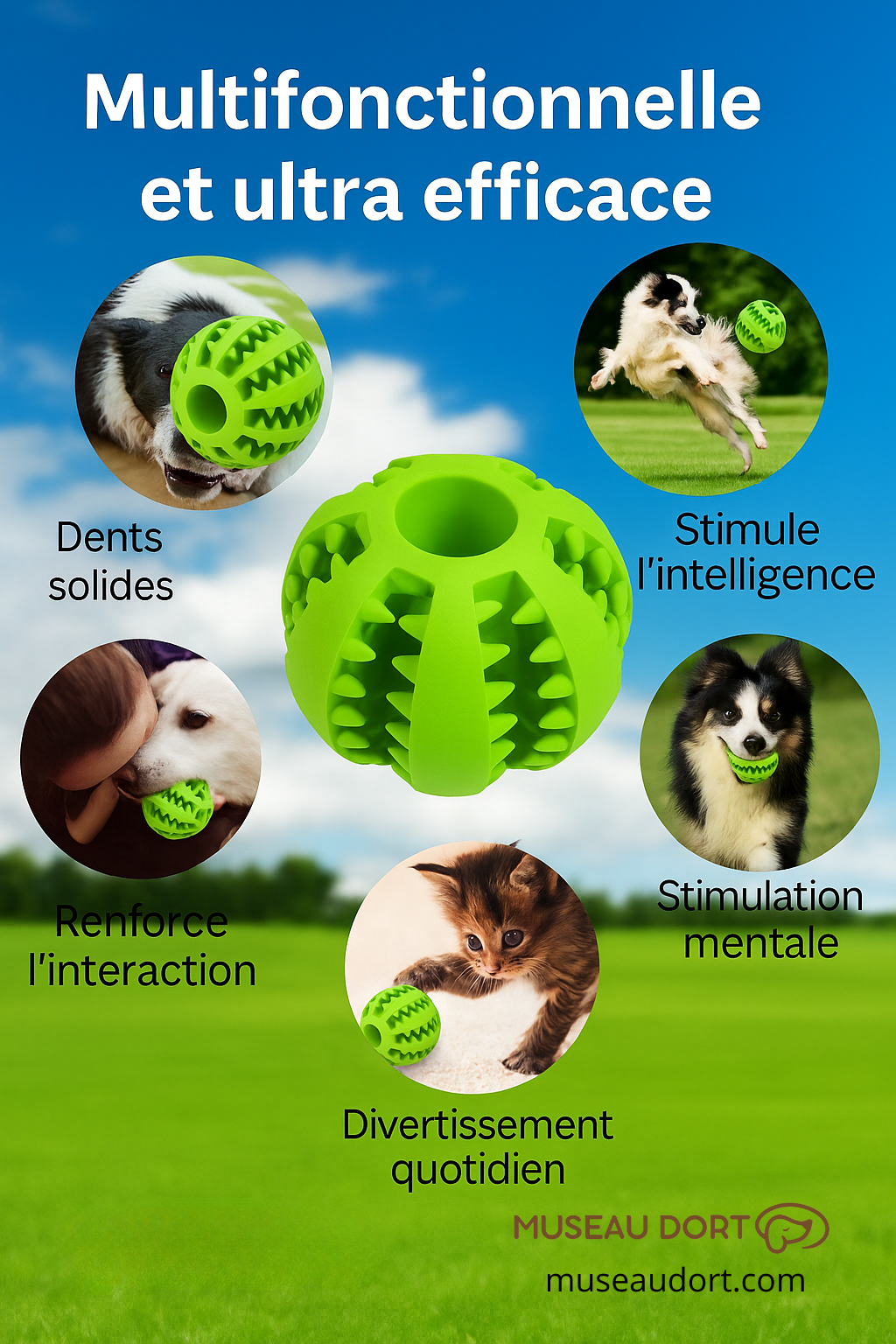 Balle pour chien dentaire multifonctionnelle, jouet interactif pour stimuler l’intelligence et l’occupation, Museau Dort