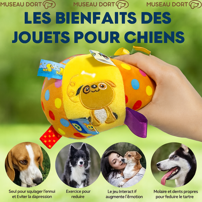 Balle en peluche pour chien présentée avec les bienfaits des jouets canins, illustrant stimulation, exercice et bien-être.