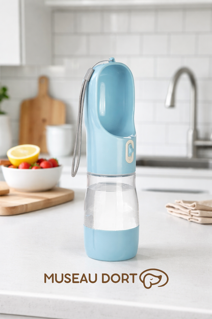 Bouteille d’eau portable pour chien bleue posée sur un plan de travail de cuisine moderne, pratique pour les balades,
