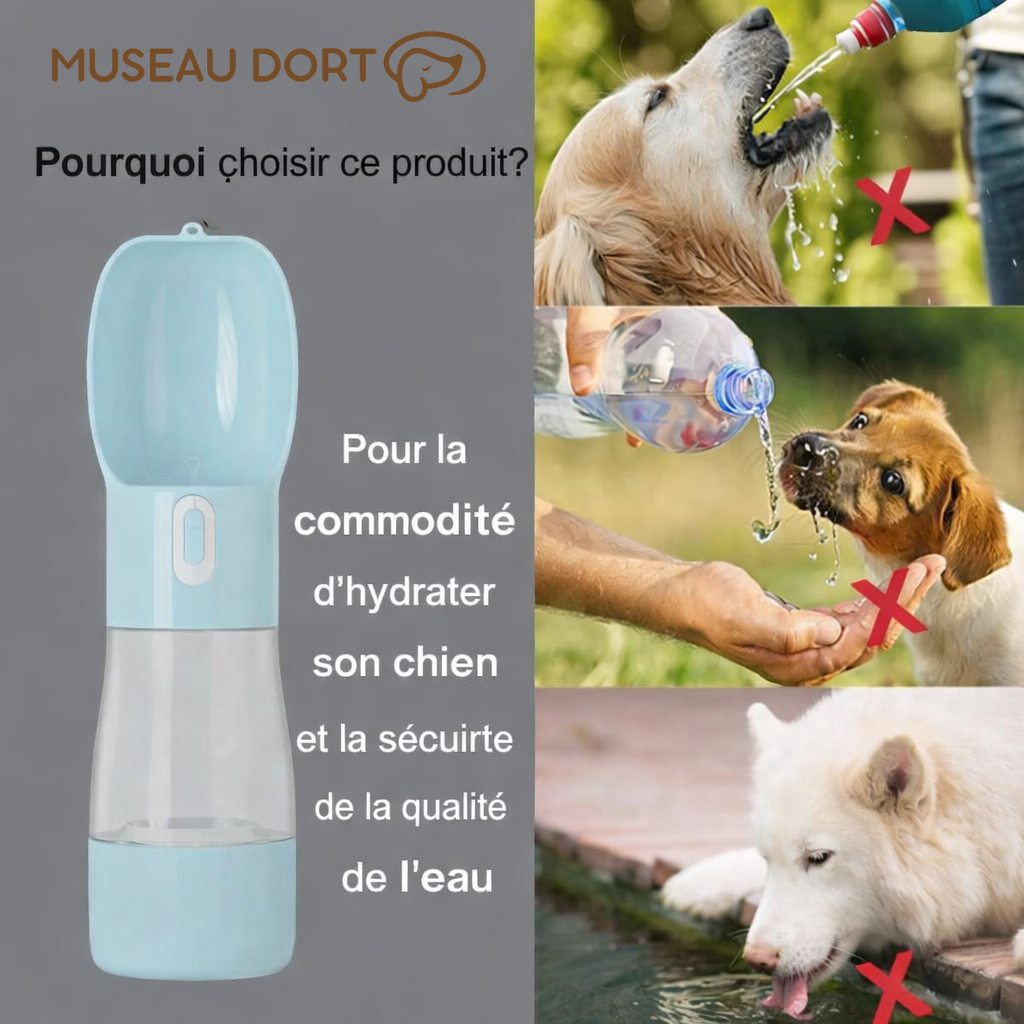 Comparaison montrant pourquoi une bouteille d’eau portable pour chien est plus sûre qu’une bouteille classique, Museau Dort