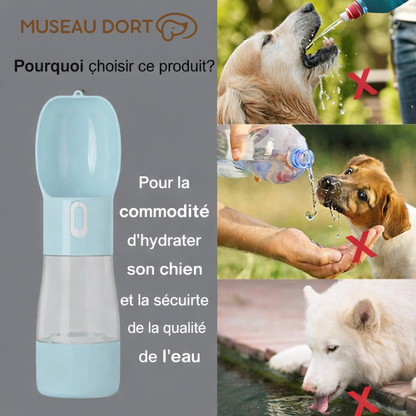Comparaison montrant pourquoi une bouteille d’eau portable pour chien est plus sûre qu’une bouteille classique, Museau Dort