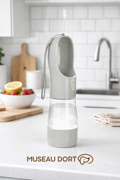 Bouteille d’eau portable pour chien grise posée sur un plan de travail de cuisine moderne, pratique pour les balades,