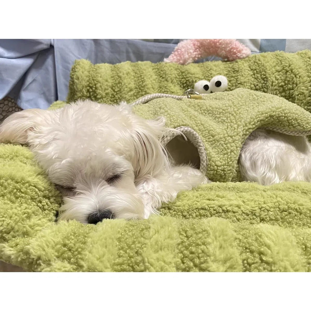 Canapé Moelleux pour Petit Chien - Confort, Chaleur et Sommeil Réparateur - Museau dort