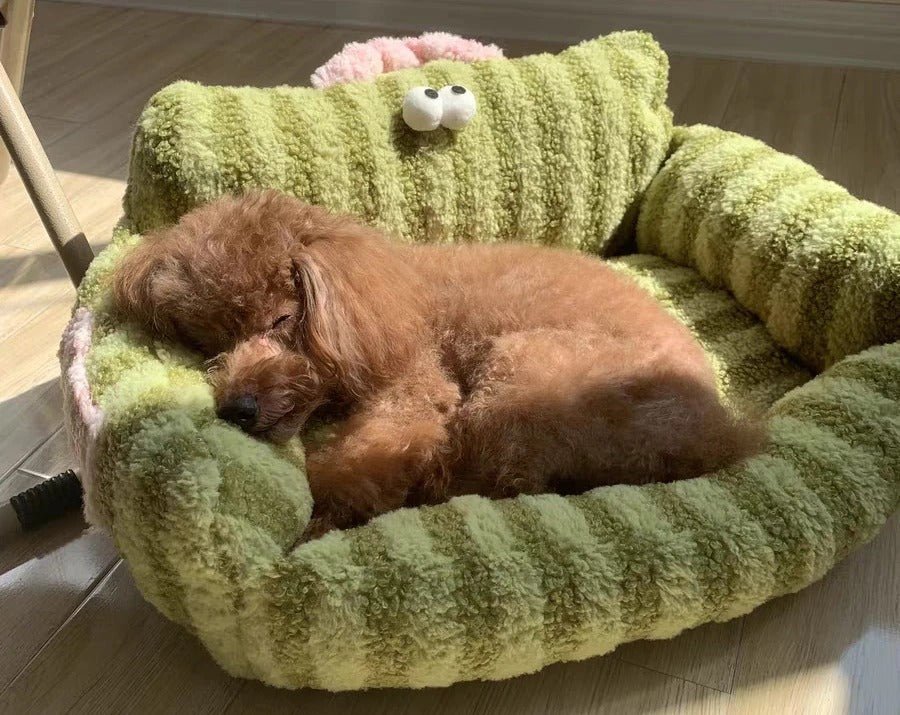 Canapé Moelleux pour Petit Chien - Confort, Chaleur et Sommeil Réparateur - Museau dort