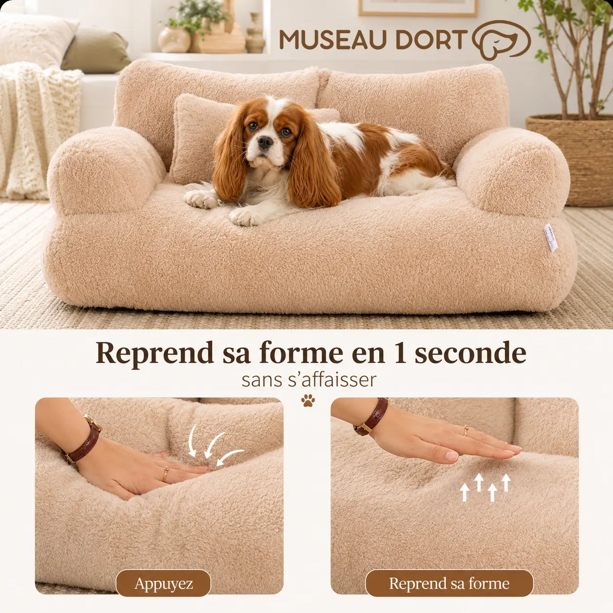 Canapé beige pour petit chien avec démonstration du rembourrage qui reprend sa forme après une pression