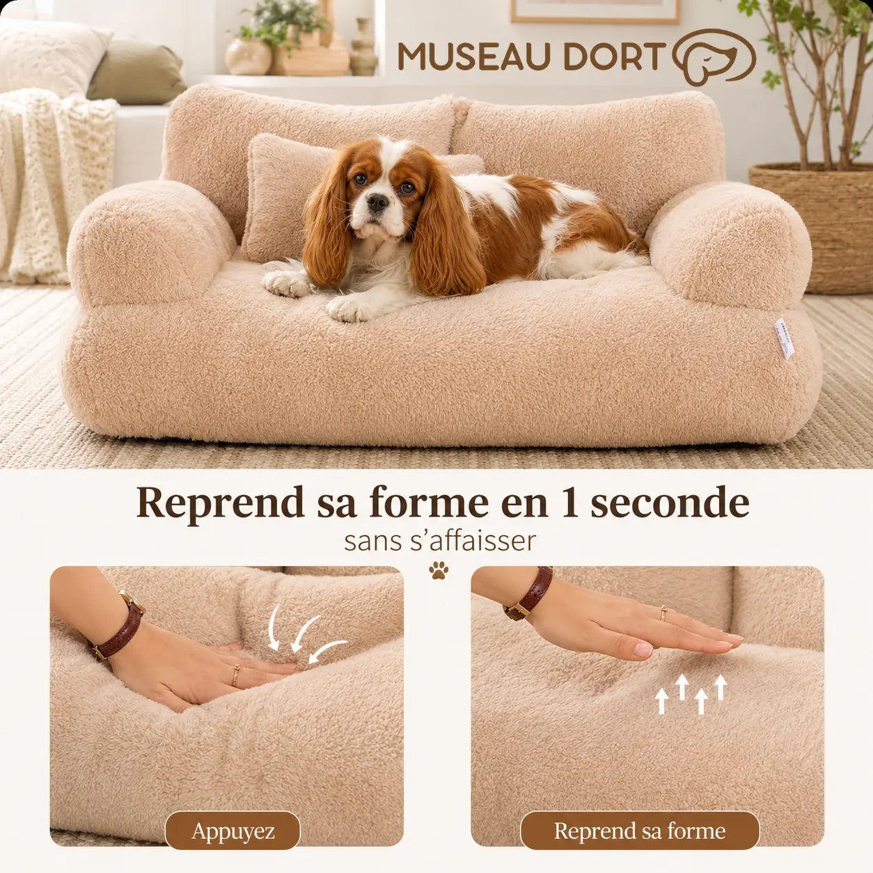 Canapé beige pour petit chien montrant son rembourrage moelleux qui reprend rapidement sa forme après pression