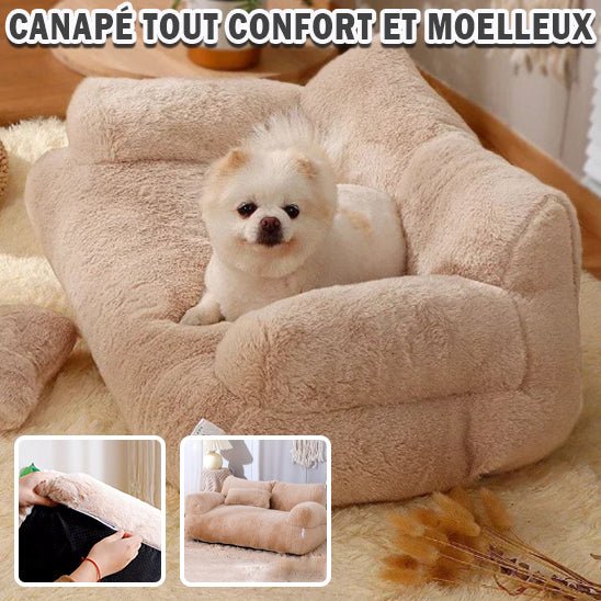 Canapé pour chien - Museau dort