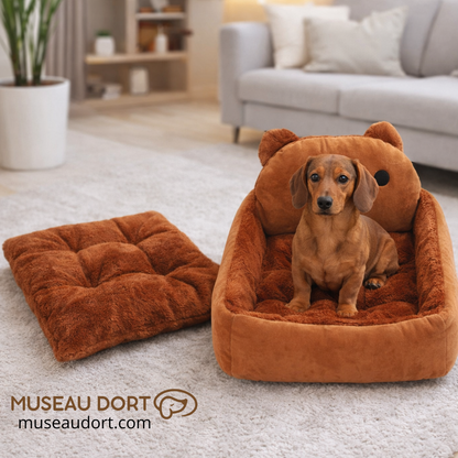 Canapé pour chien en intérieur avec teckel assis et coussin assorti, couchage ludique et rassurant Museau Dort