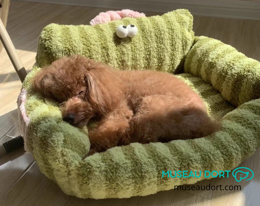 Chien endormi sur canapé pour chien intérieur vert, couchage moelleux et rassurant pour petit chien en appartement.