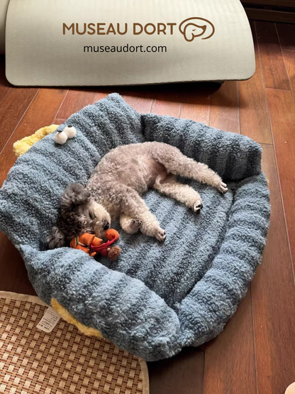 Chien allongé sur canapé pour chien intérieur bleu, couchage moelleux et confortable pour petit chien en appartement.