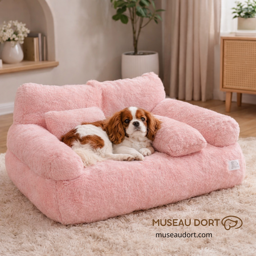 Canapé pour chien rose effet nid douillet avec cavalier king charles reposé dans un salon moderne – Museau Dort