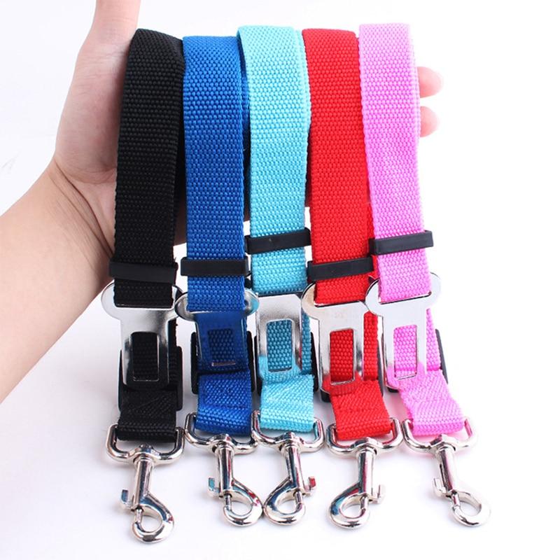 Ceinture Sécurité Chien | Protégez Votre Compagnon en Voiture - Museau dort