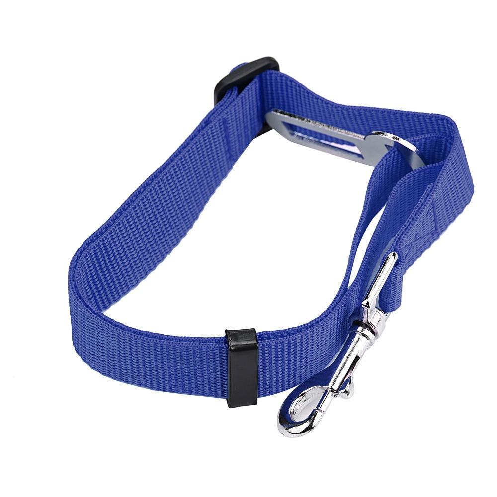 Ceinture Sécurité Chien | Protégez Votre Compagnon en Voiture - Museau dort