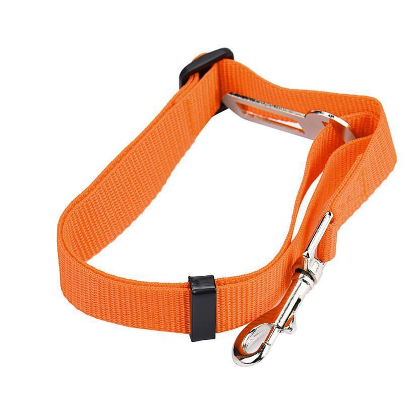 Ceinture Sécurité Chien | Protégez Votre Compagnon en Voiture - Museau dort