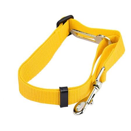 Ceinture Sécurité Chien | Protégez Votre Compagnon en Voiture - Museau dort
