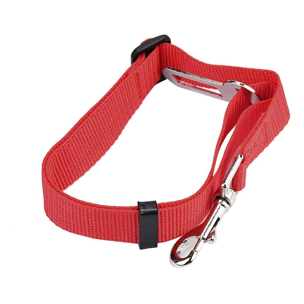 Ceinture Sécurité Chien | Protégez Votre Compagnon en Voiture - Museau dort