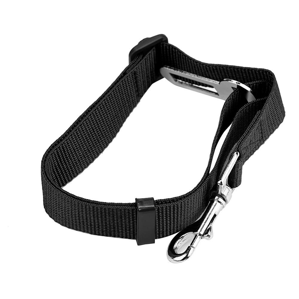 Ceinture Sécurité Chien | Protégez Votre Compagnon en Voiture - Museau dort