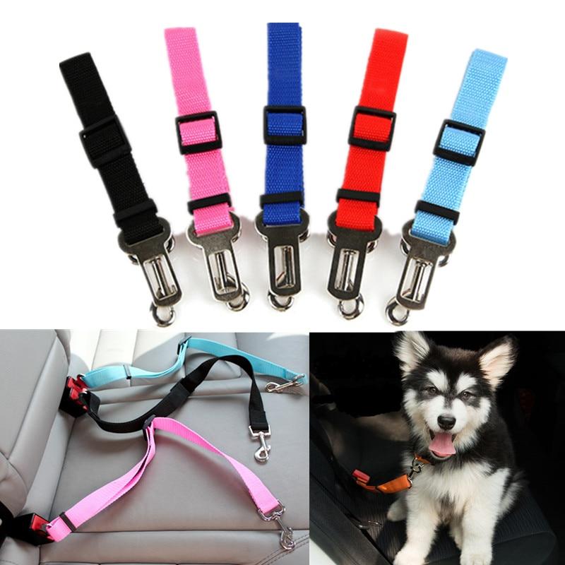 Ceinture Sécurité Chien | Protégez Votre Compagnon en Voiture - Museau dort