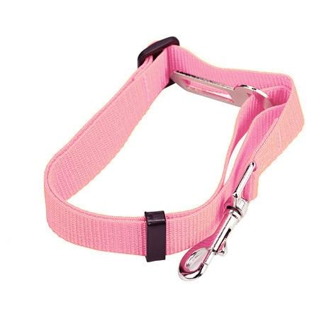 Ceinture Sécurité Chien | Protégez Votre Compagnon en Voiture - Museau dort