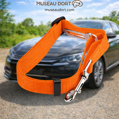 Ceinture de sécurité chien orange réglable installée en voiture pour sécuriser les trajets quotidiens en France Museau Dort