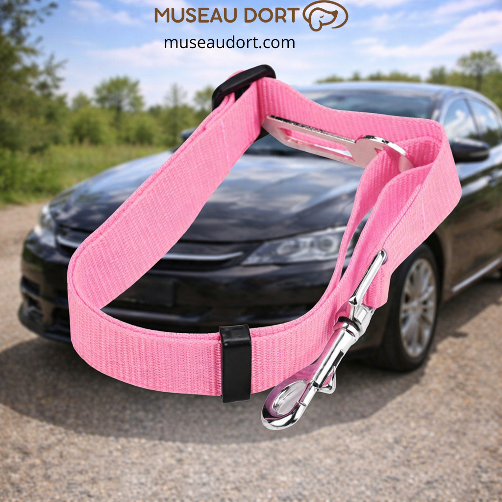 Ceinture de sécurité chien rose réglable installée en voiture pour sécuriser les trajets quotidiens en France Museau Dort